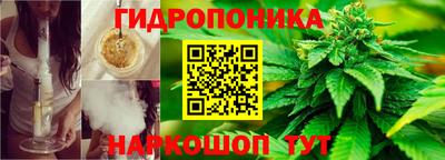 ГАЛЛЮЦИНОГЕННЫЕ ГРИБЫ Тула