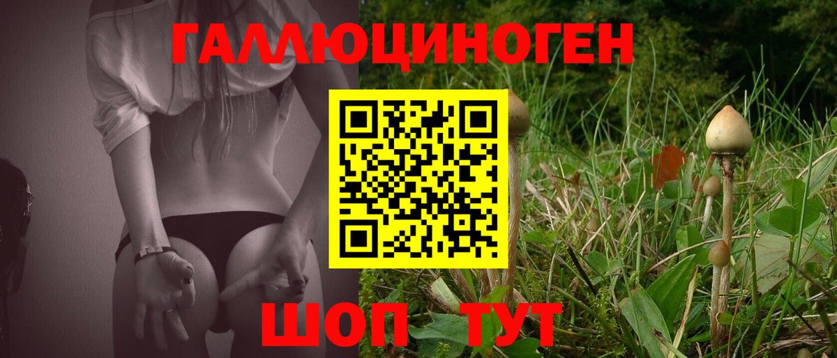 Псилоцибиновые грибы GOLDEN TEACHER Архангельск