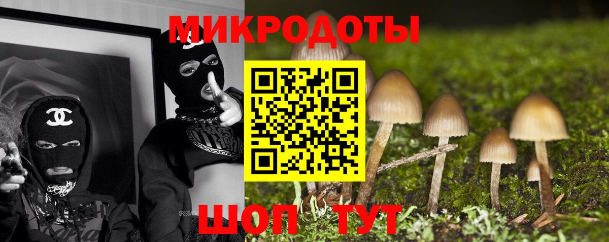 Псилоцибиновые грибы Psilocybine cubensis  Вход с VPN  наркошоп  Архангельск  Галлюциногенные грибы GOLDEN TEACHER 